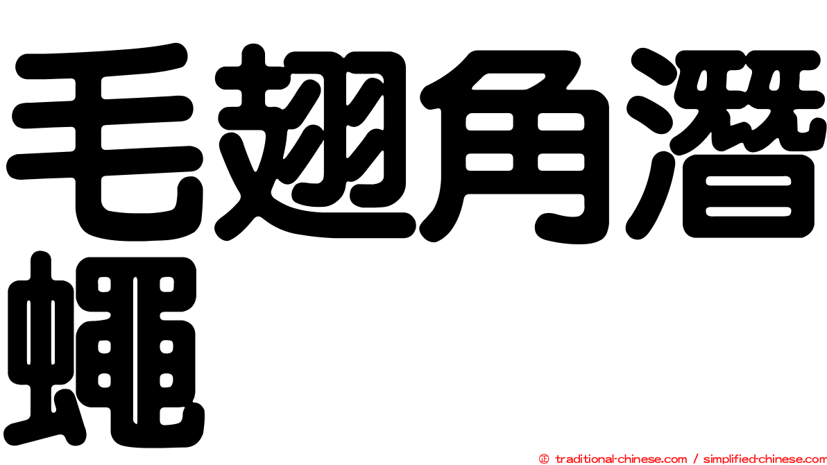 毛翅角潛蠅