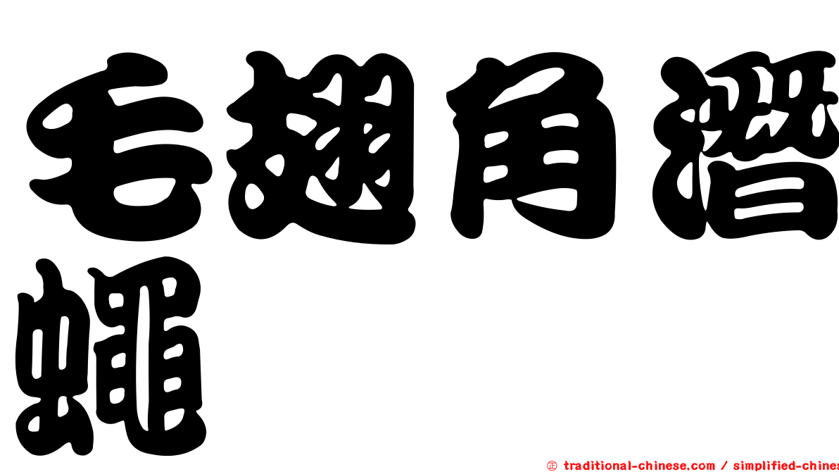 毛翅角潛蠅