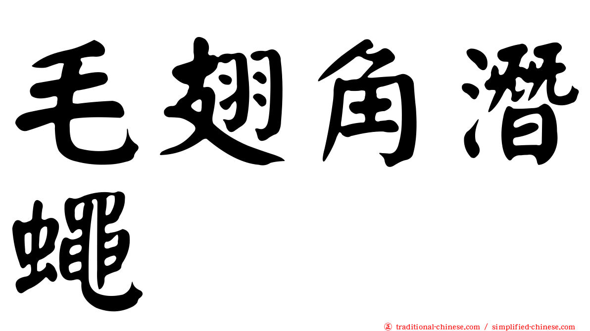 毛翅角潛蠅