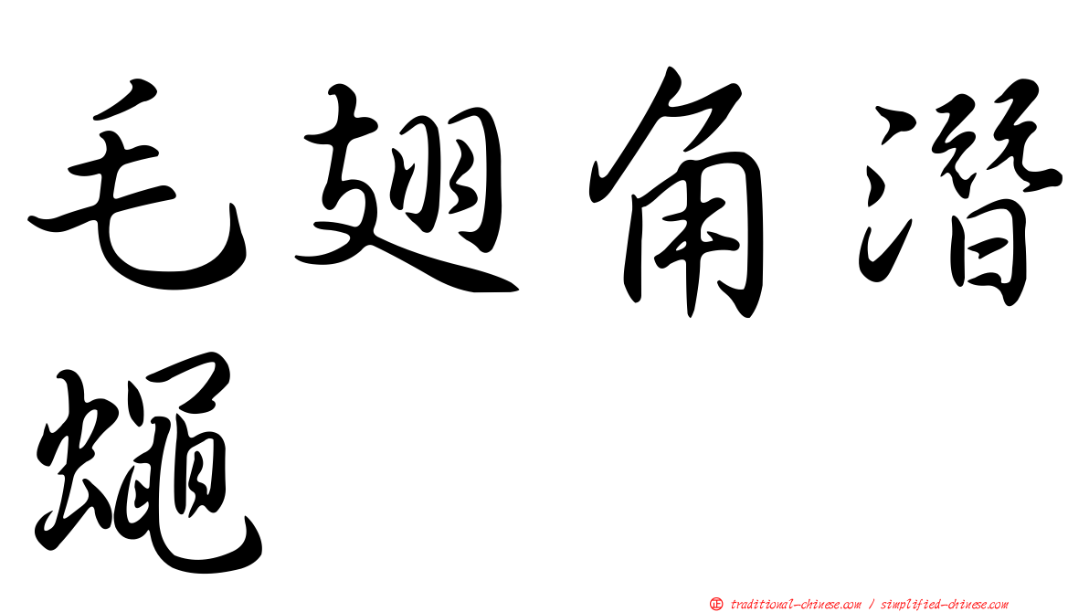 毛翅角潛蠅