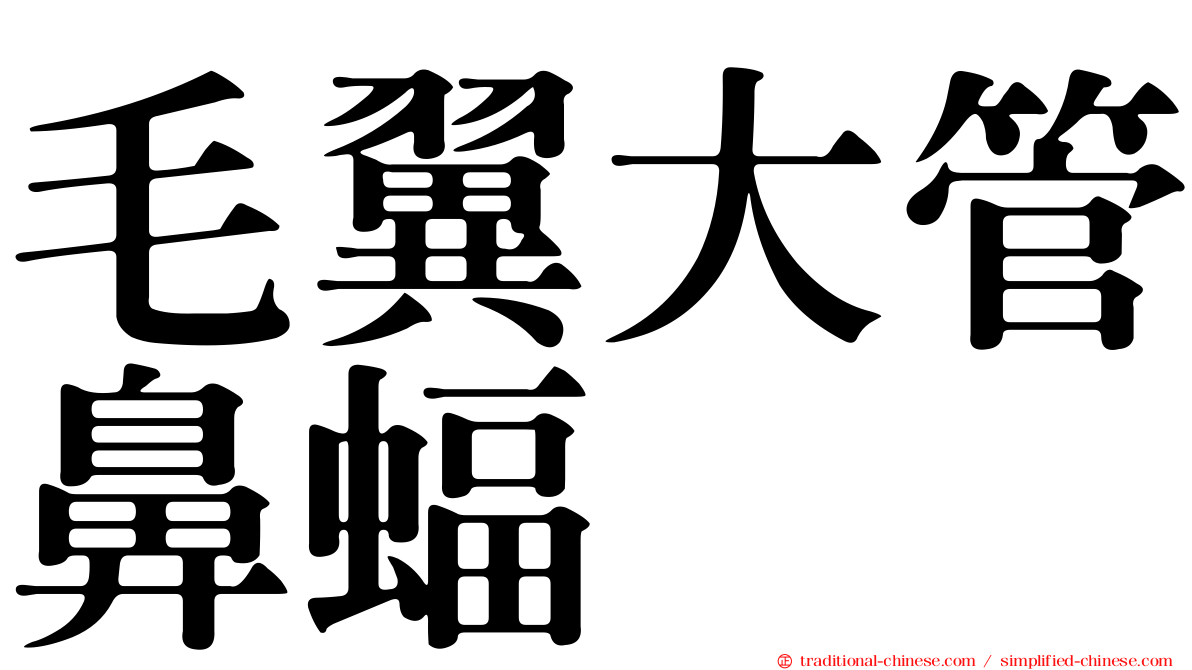 毛翼大管鼻蝠