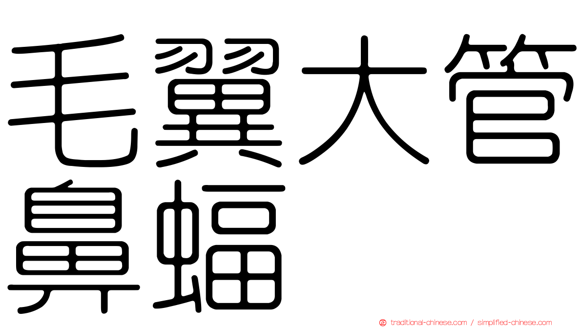 毛翼大管鼻蝠
