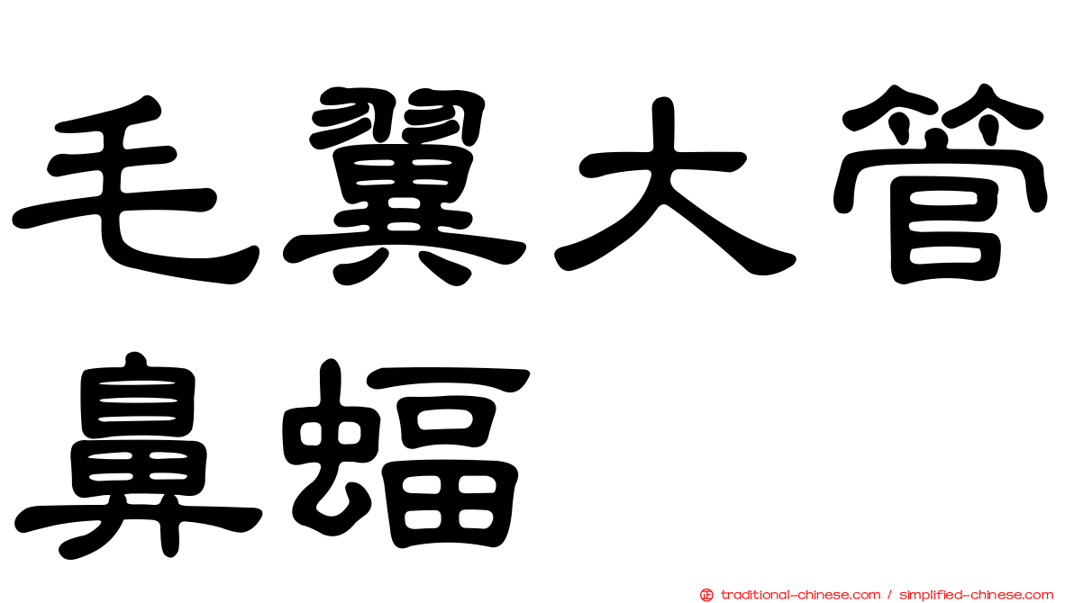 毛翼大管鼻蝠