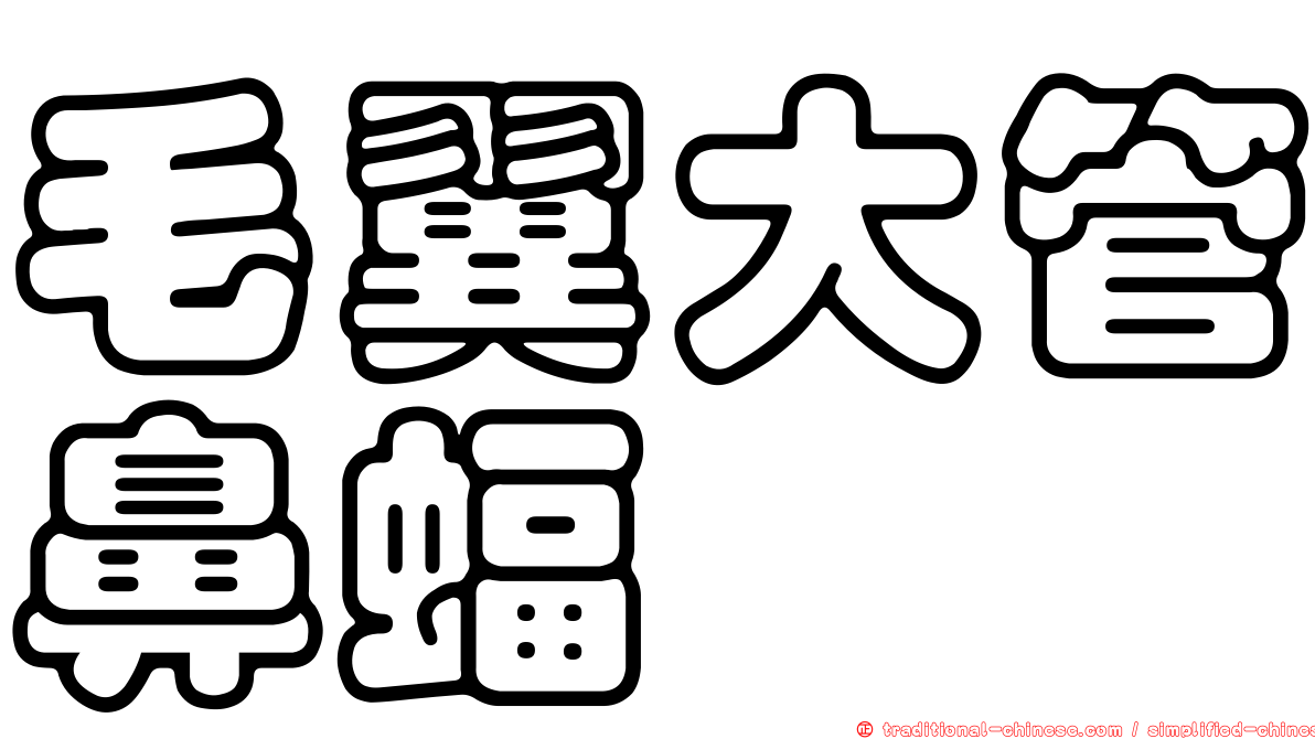毛翼大管鼻蝠