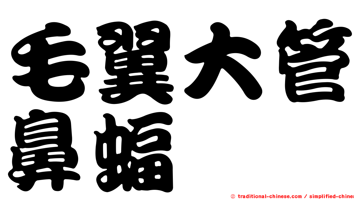 毛翼大管鼻蝠