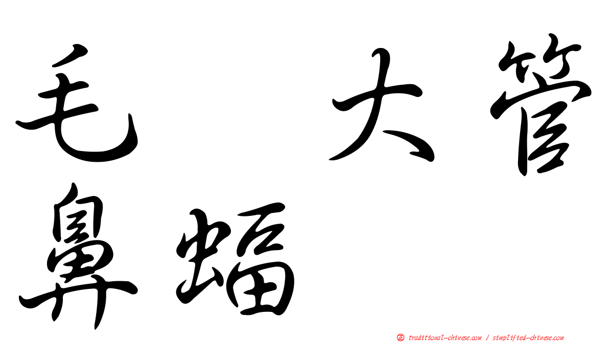 毛翼大管鼻蝠