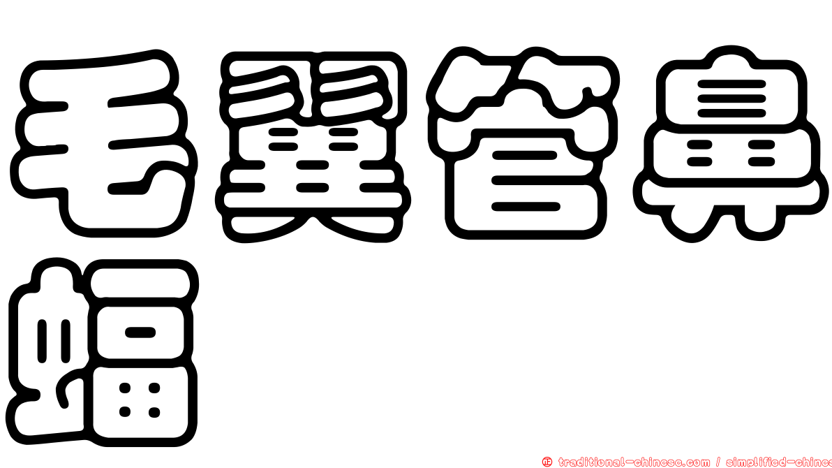 毛翼管鼻蝠