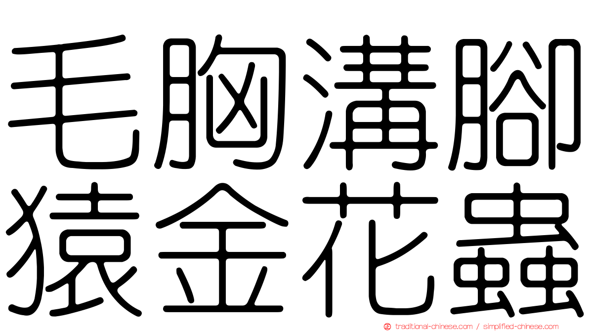 毛胸溝腳猿金花蟲