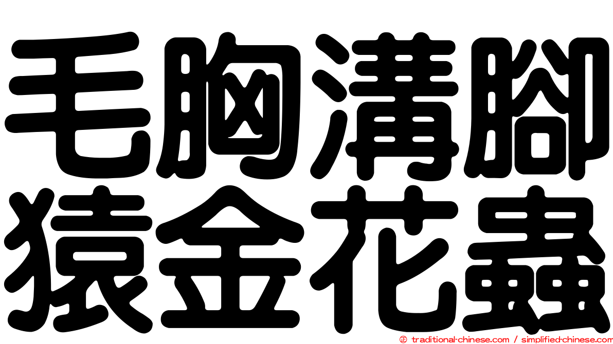 毛胸溝腳猿金花蟲