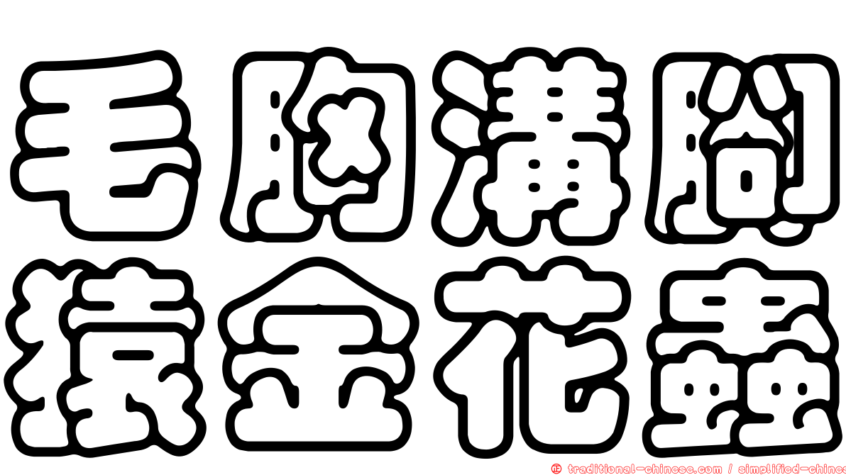 毛胸溝腳猿金花蟲