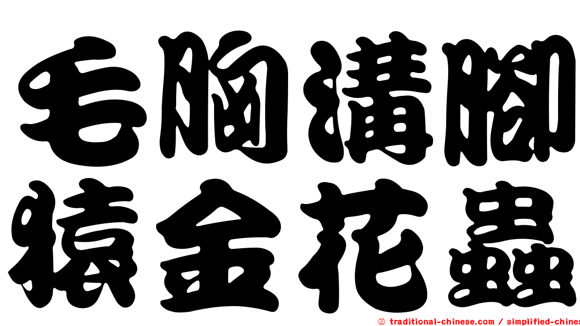 毛胸溝腳猿金花蟲