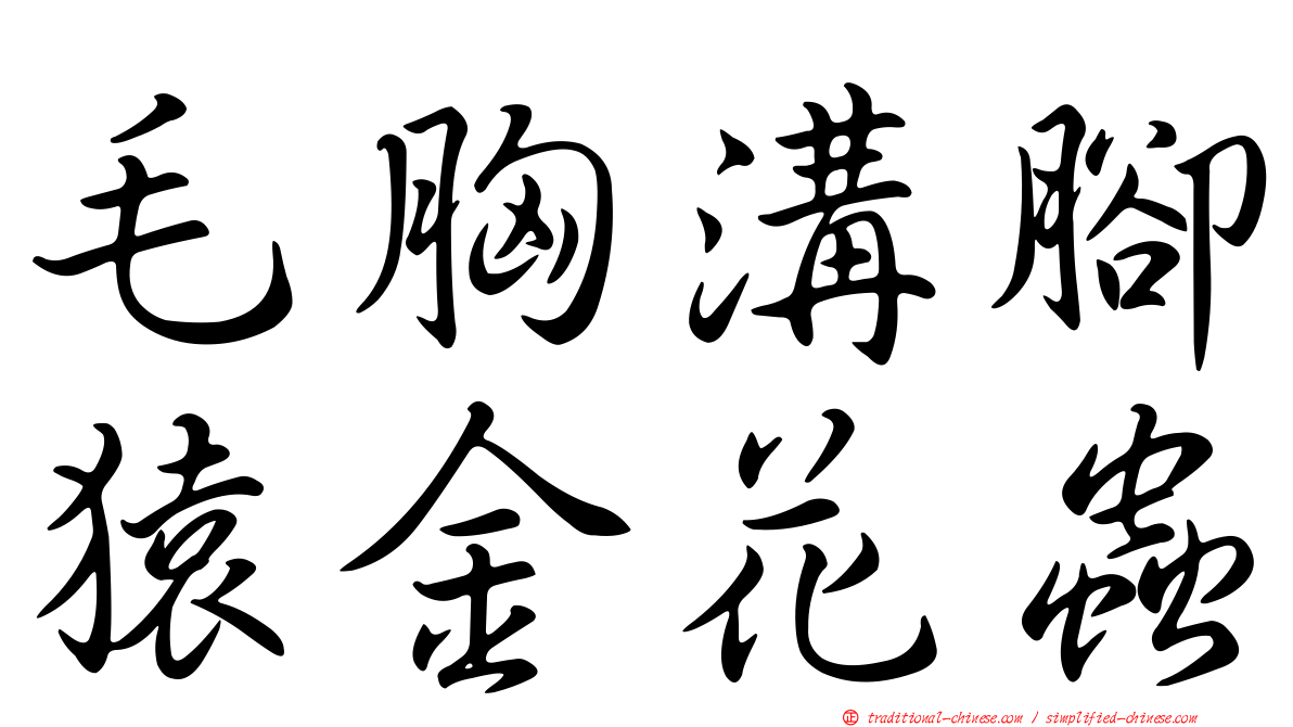 毛胸溝腳猿金花蟲
