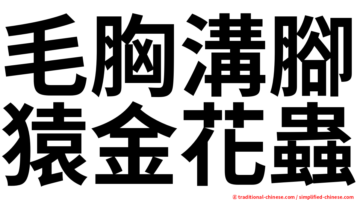 毛胸溝腳猿金花蟲