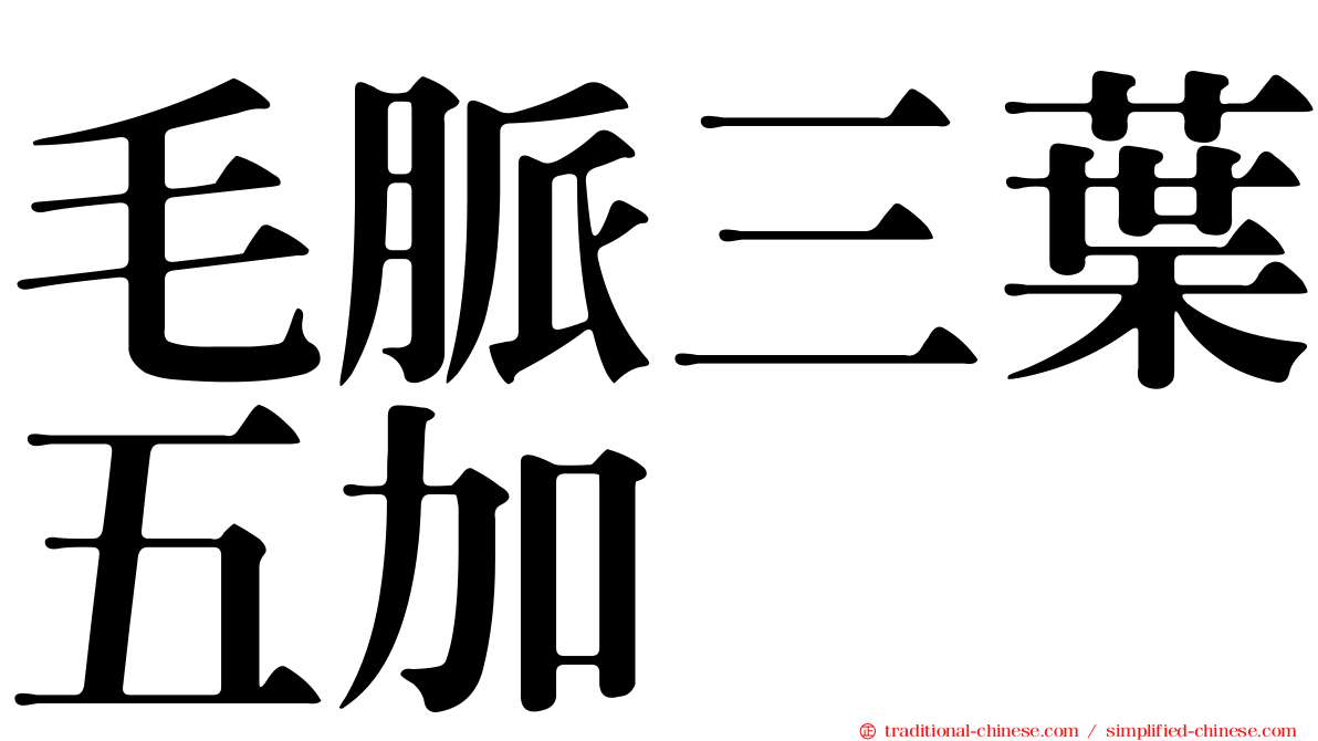 毛脈三葉五加