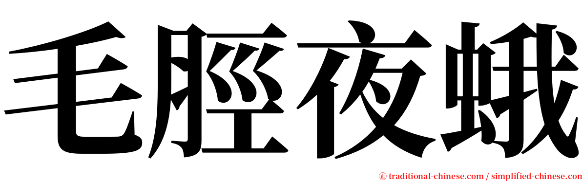 毛脛夜蛾 serif font