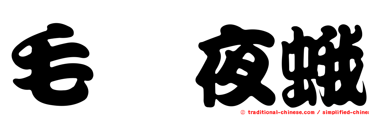 毛脛夜蛾