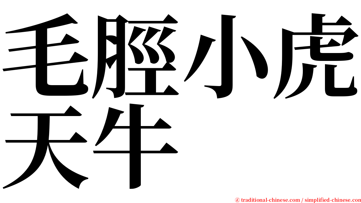毛脛小虎天牛 serif font