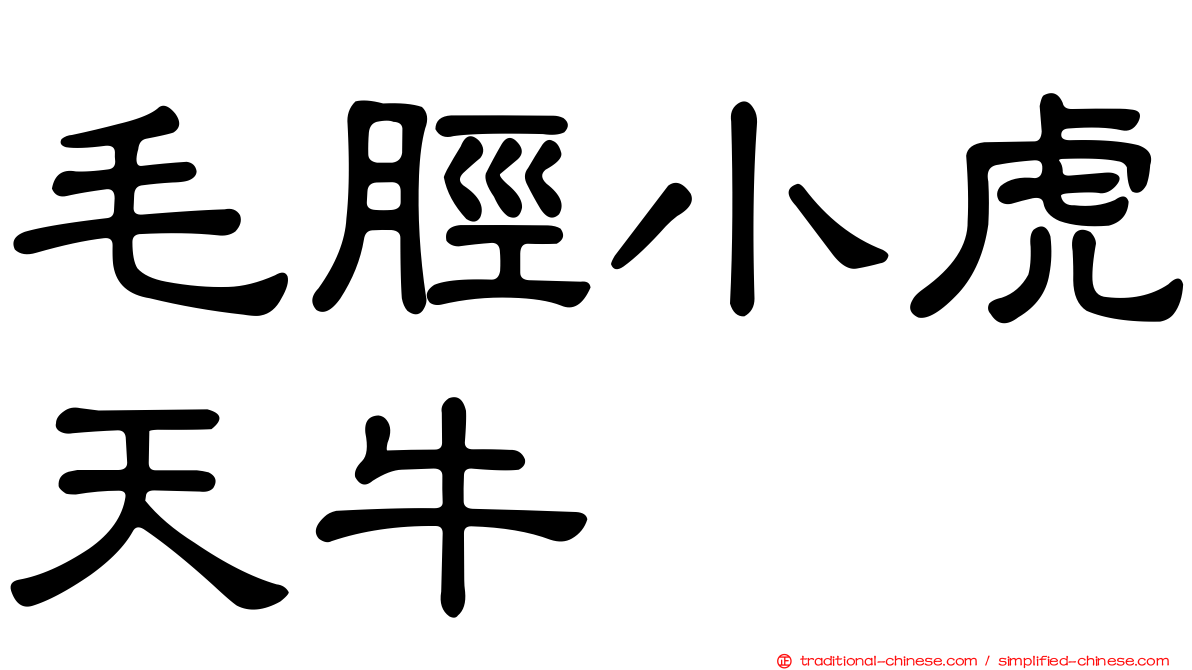 毛脛小虎天牛