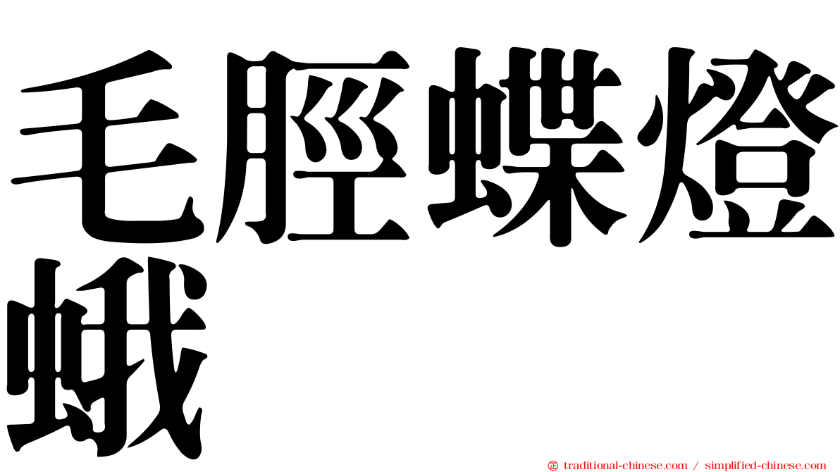 毛脛蝶燈蛾