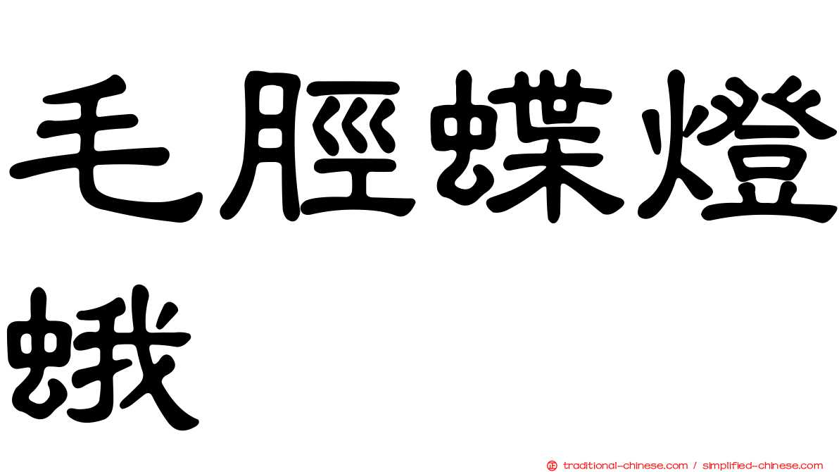 毛脛蝶燈蛾