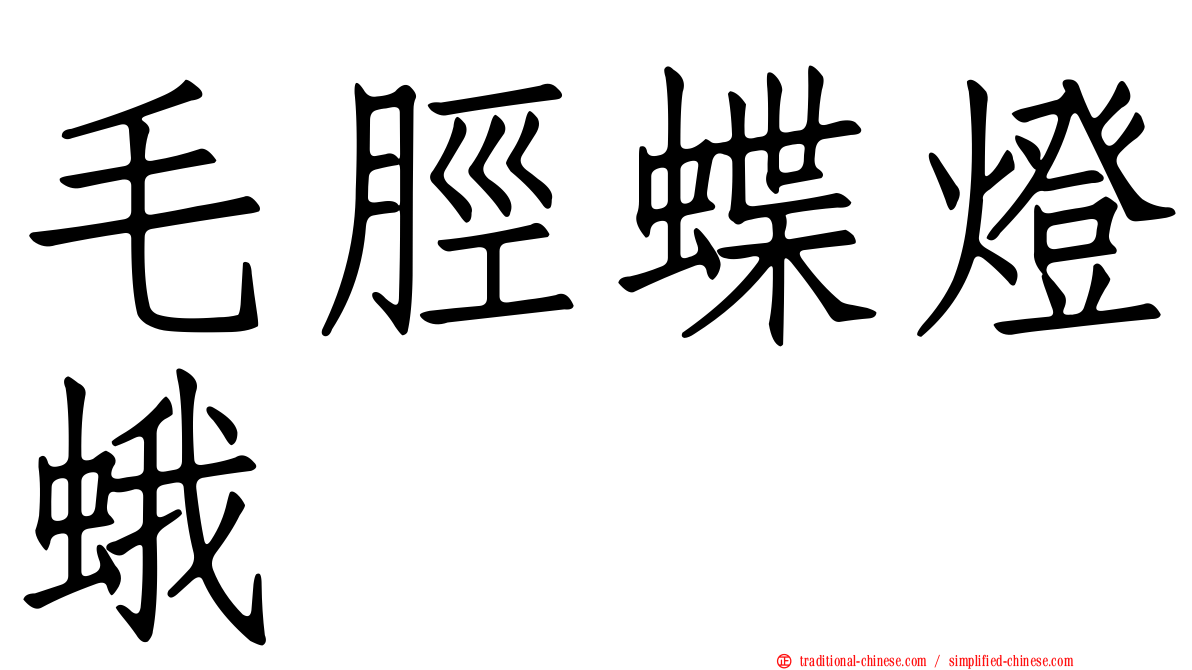 毛脛蝶燈蛾