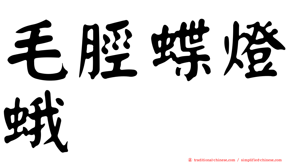 毛脛蝶燈蛾