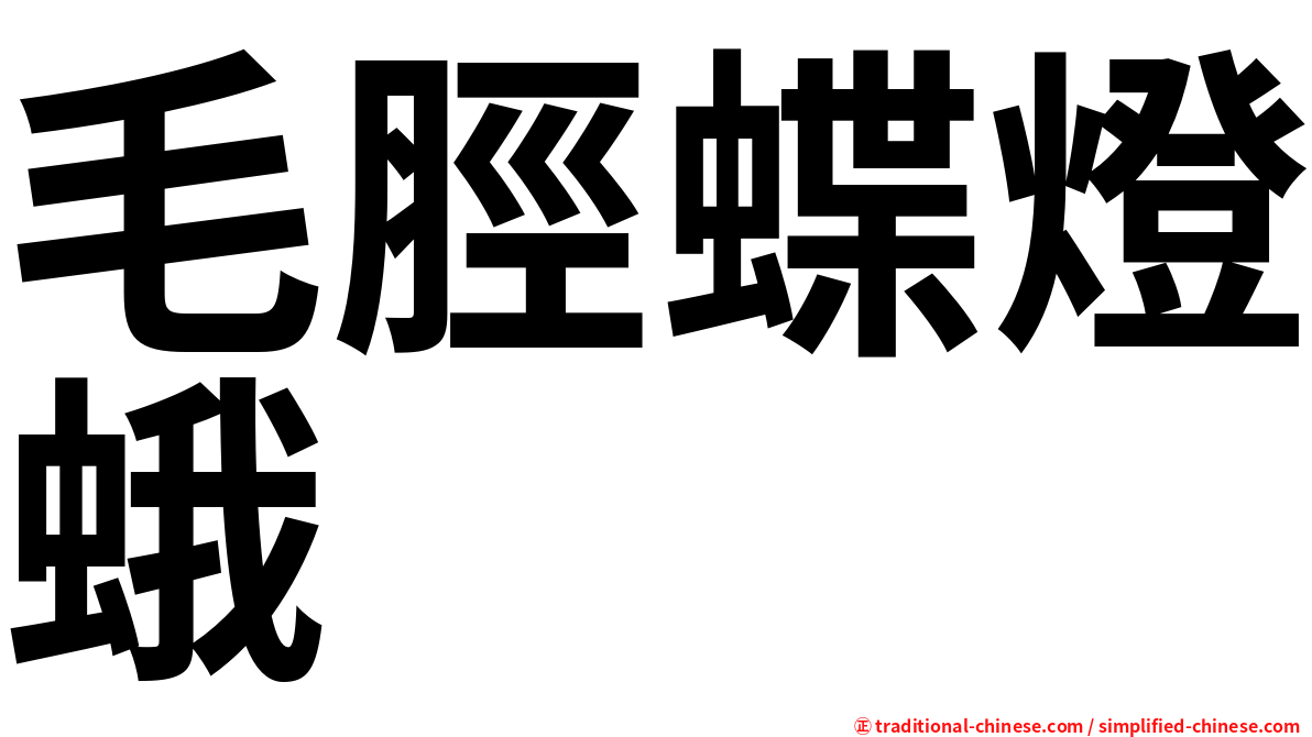 毛脛蝶燈蛾