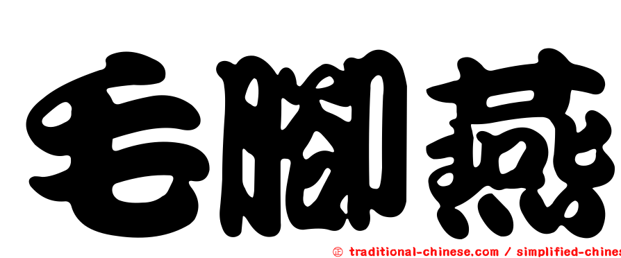 毛腳燕