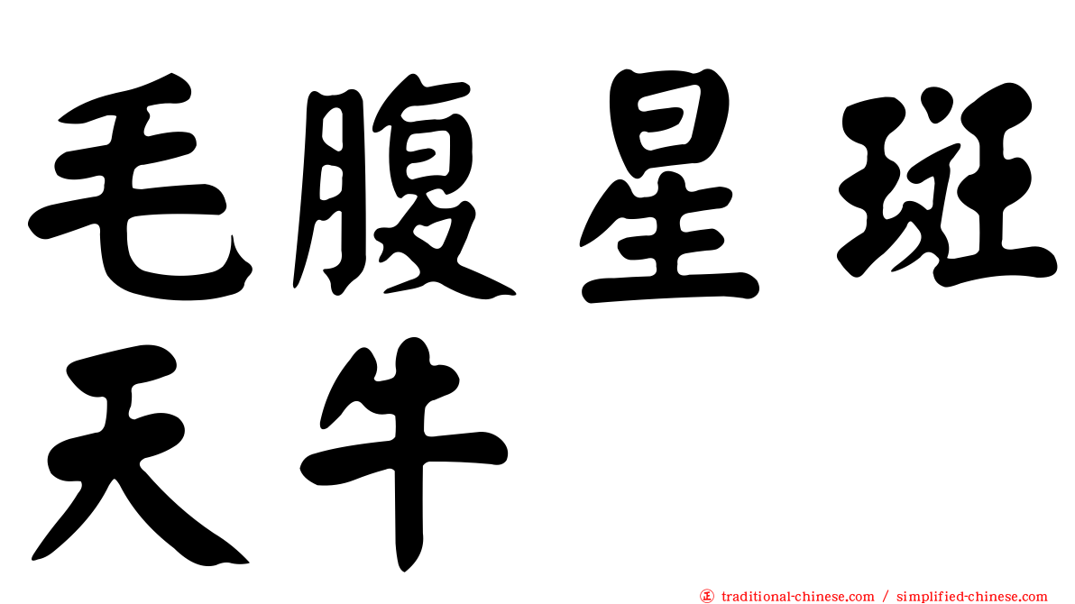毛腹星斑天牛