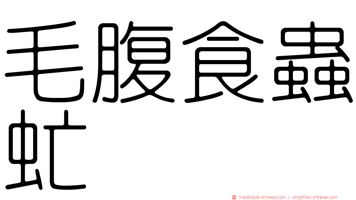 毛腹食蟲虻
