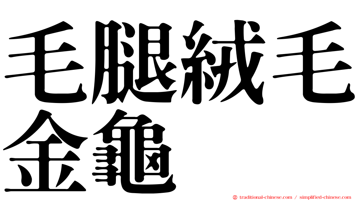 毛腿絨毛金龜