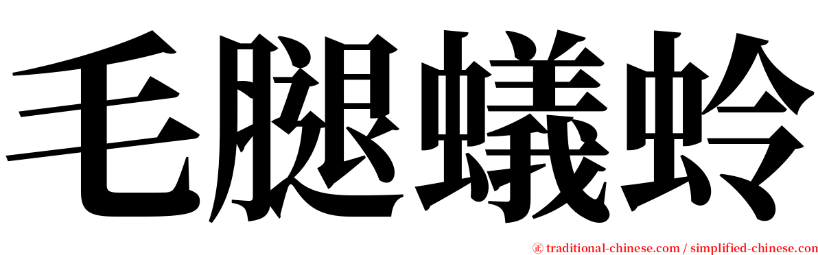 毛腿蟻蛉 serif font