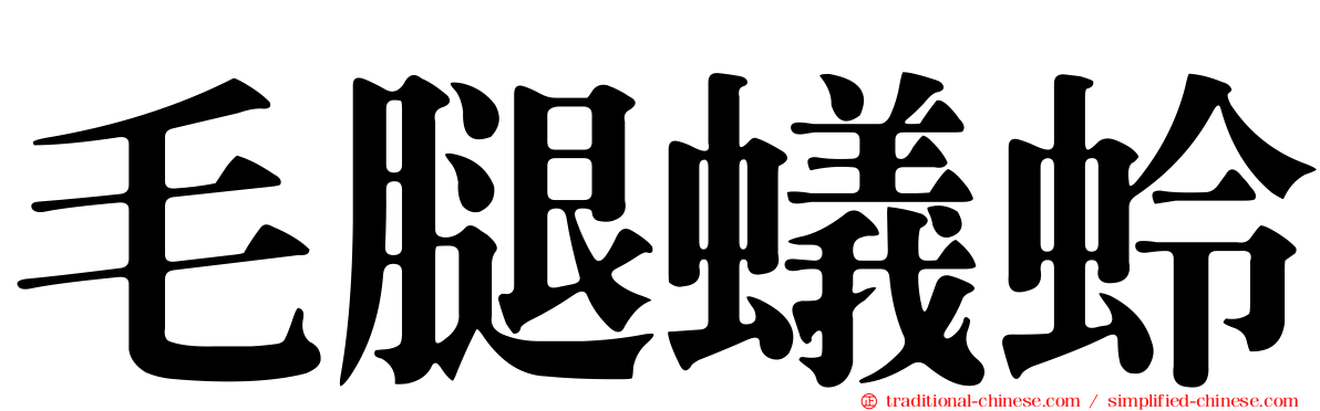 毛腿蟻蛉