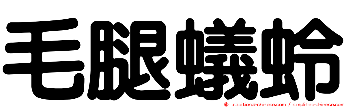 毛腿蟻蛉