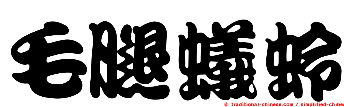 毛腿蟻蛉