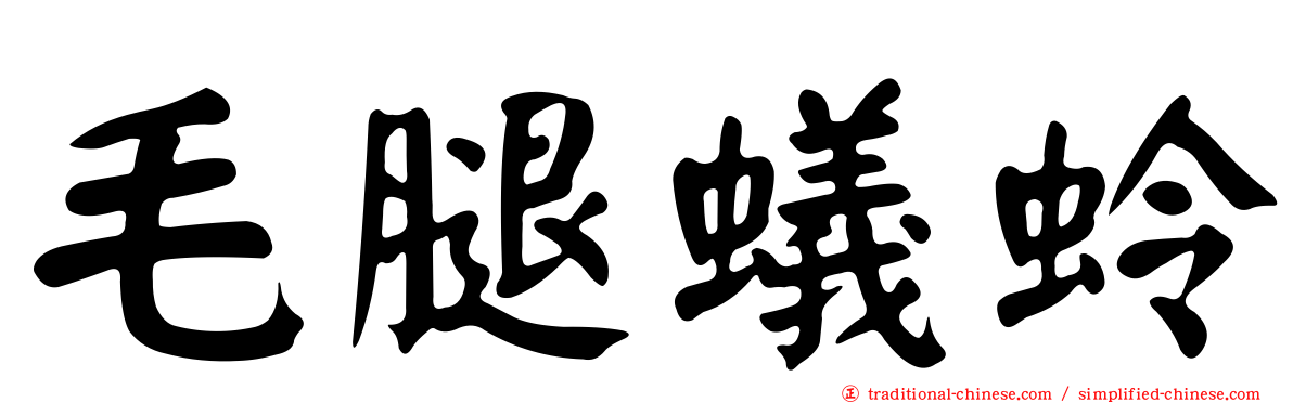 毛腿蟻蛉