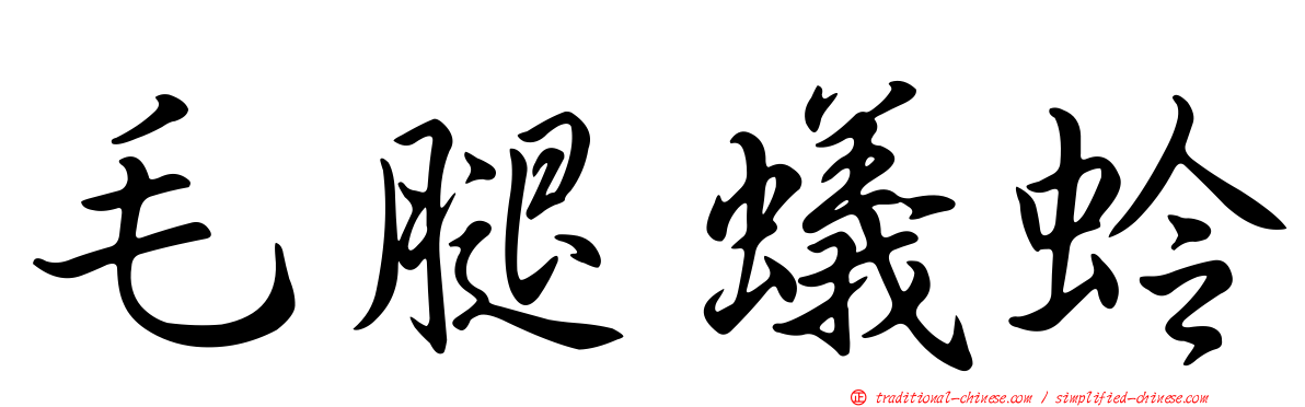 毛腿蟻蛉