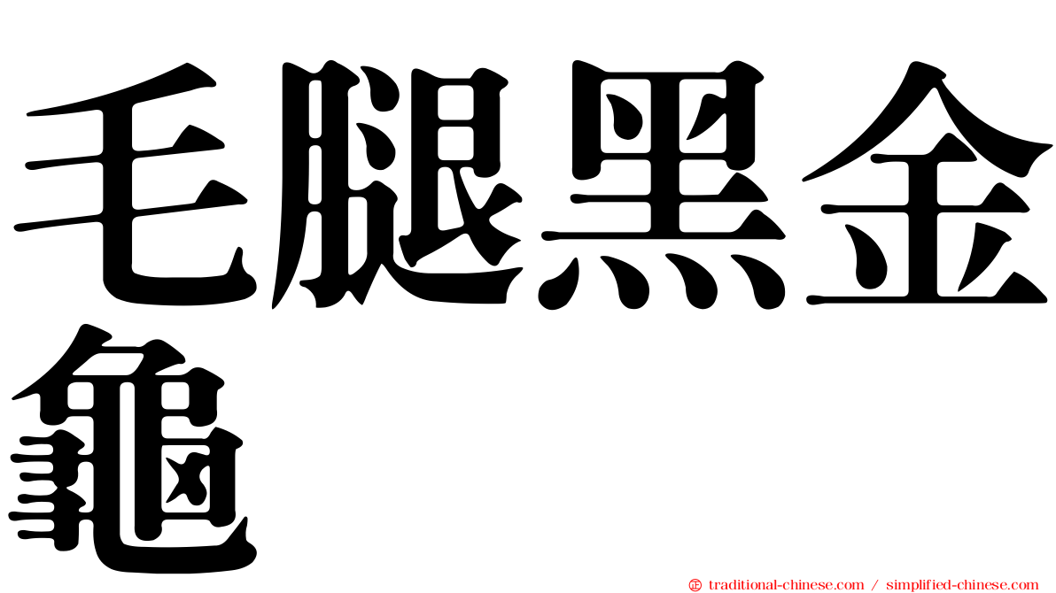 毛腿黑金龜