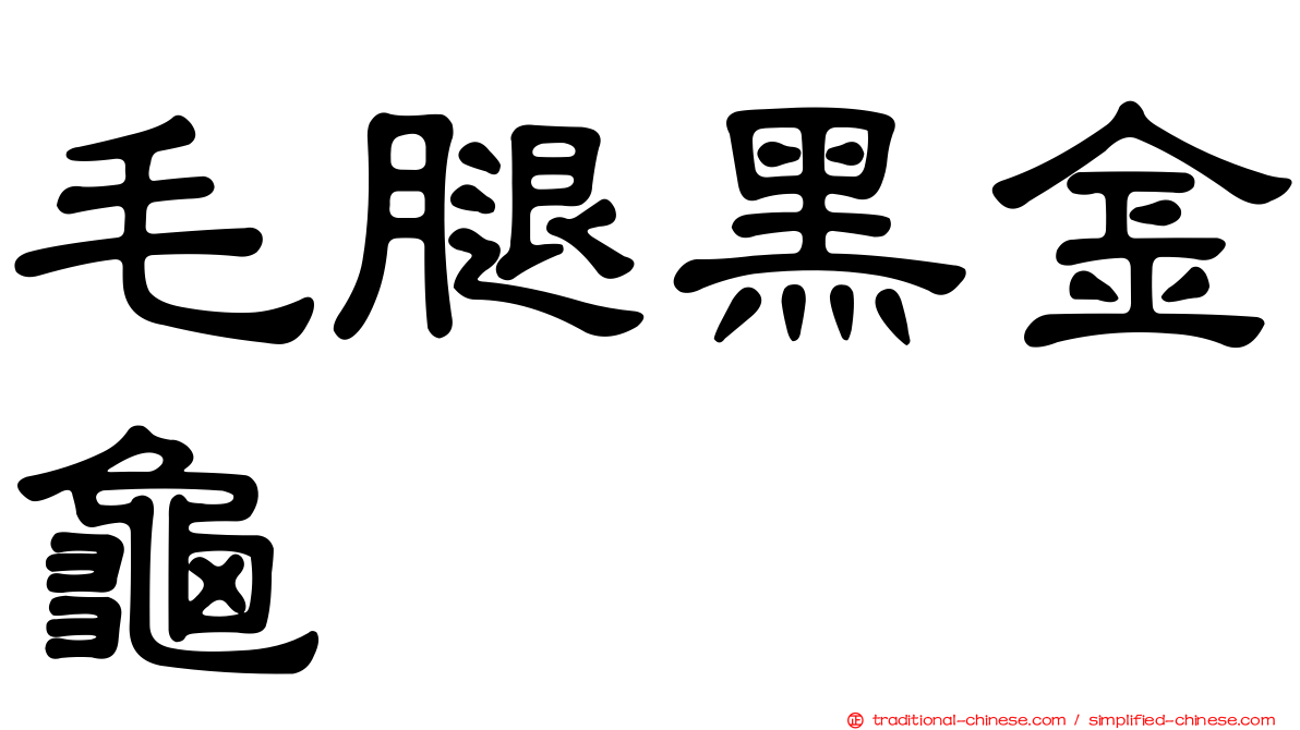 毛腿黑金龜