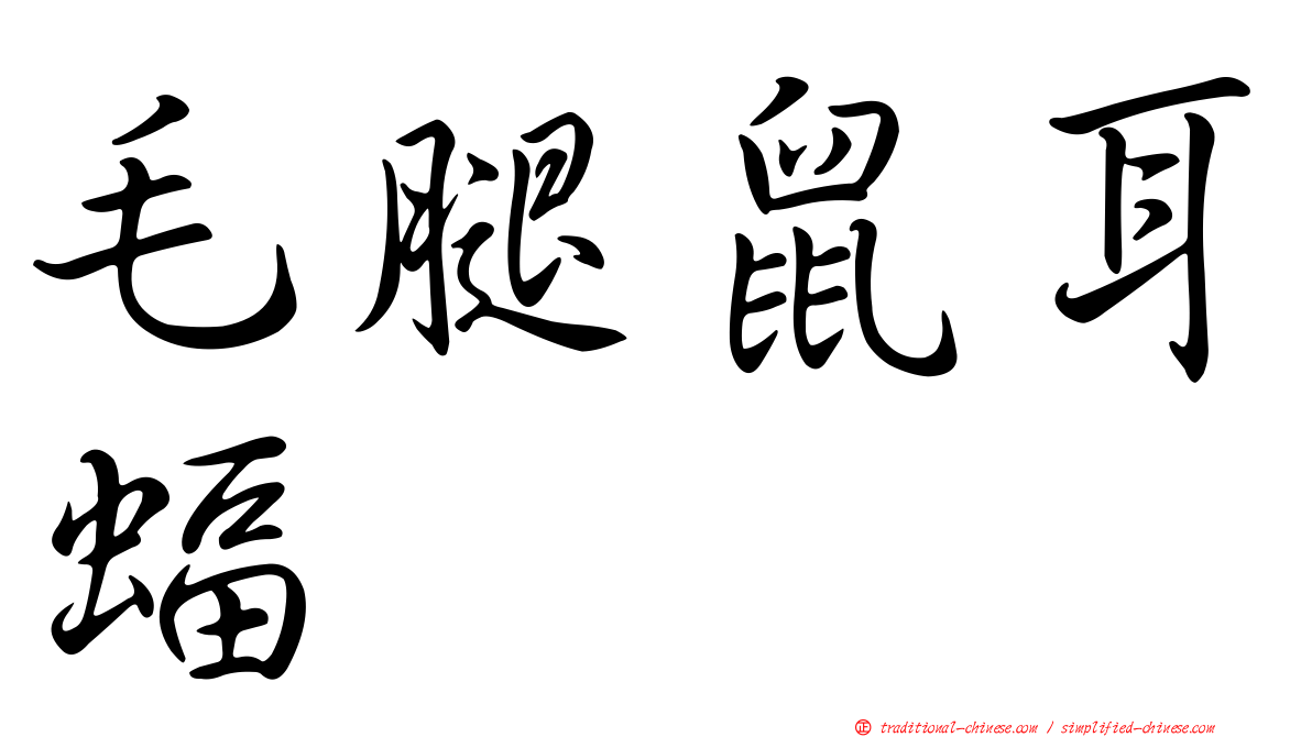 毛腿鼠耳蝠