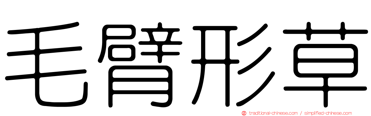 毛臂形草