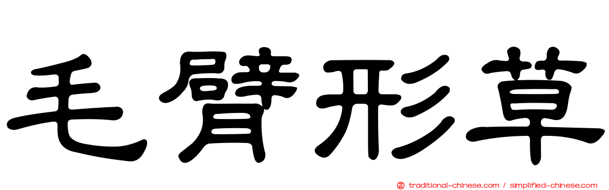 毛臂形草