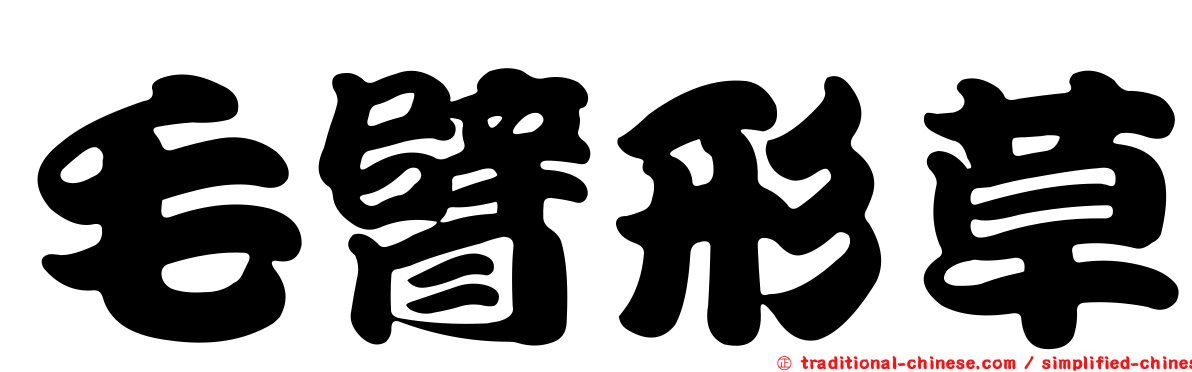 毛臂形草