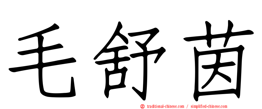 毛舒茵
