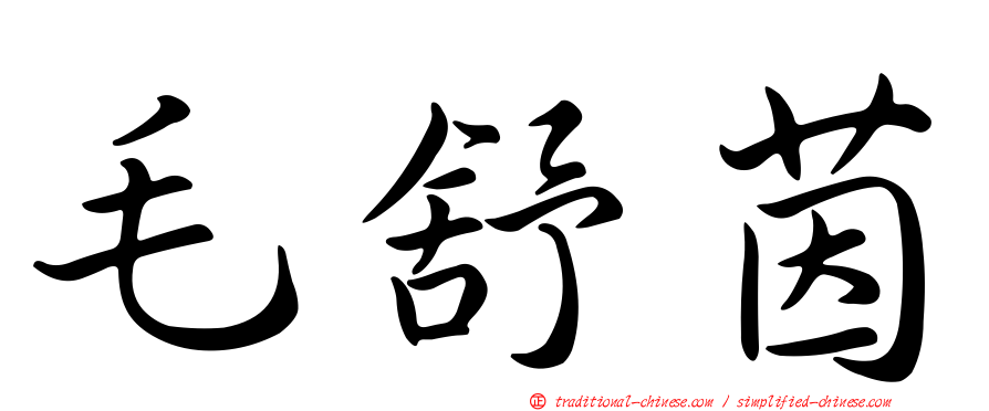 毛舒茵