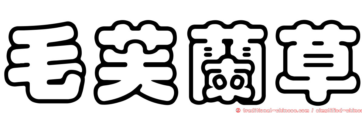 毛芙蘭草