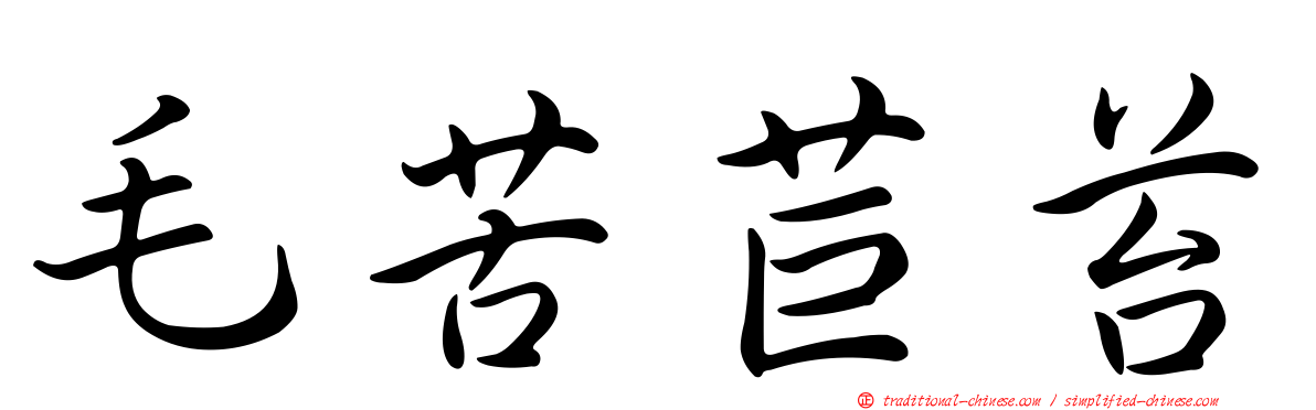 毛苦苣苔
