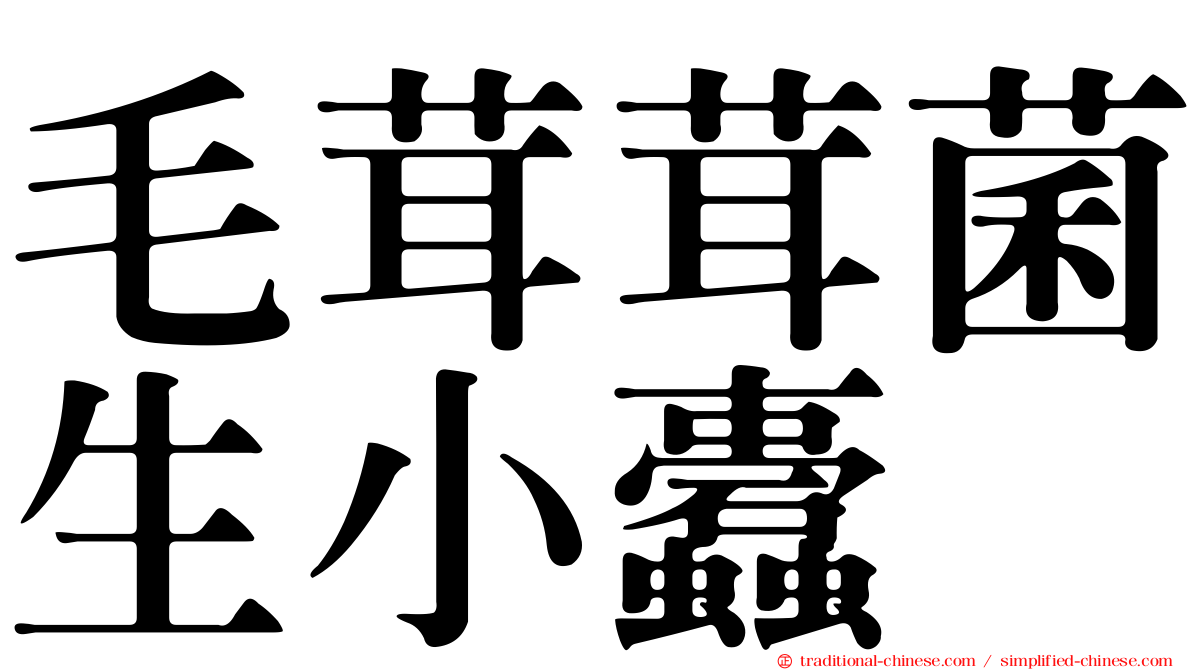 毛茸茸菌生小蠹