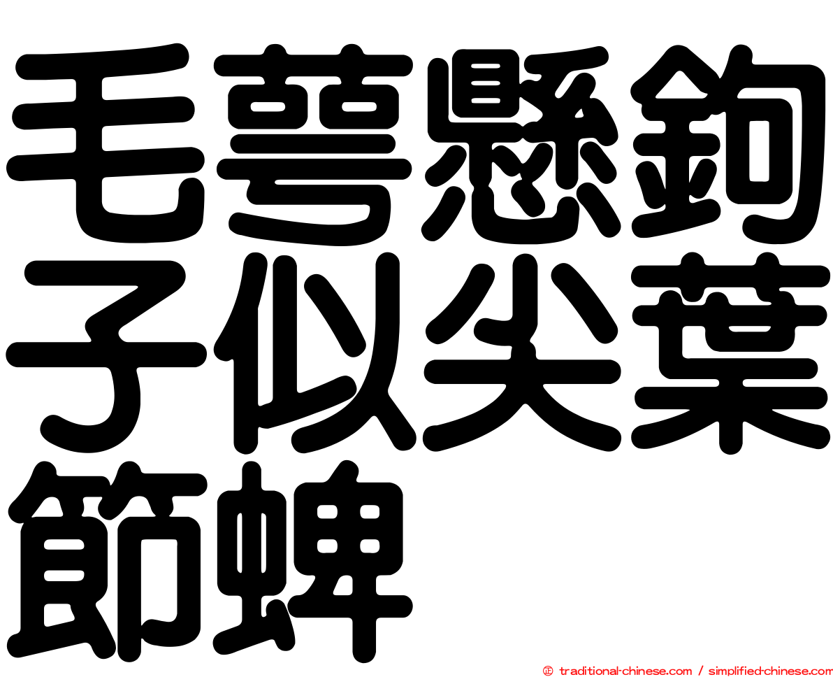 毛萼懸鉤子似尖葉節蜱