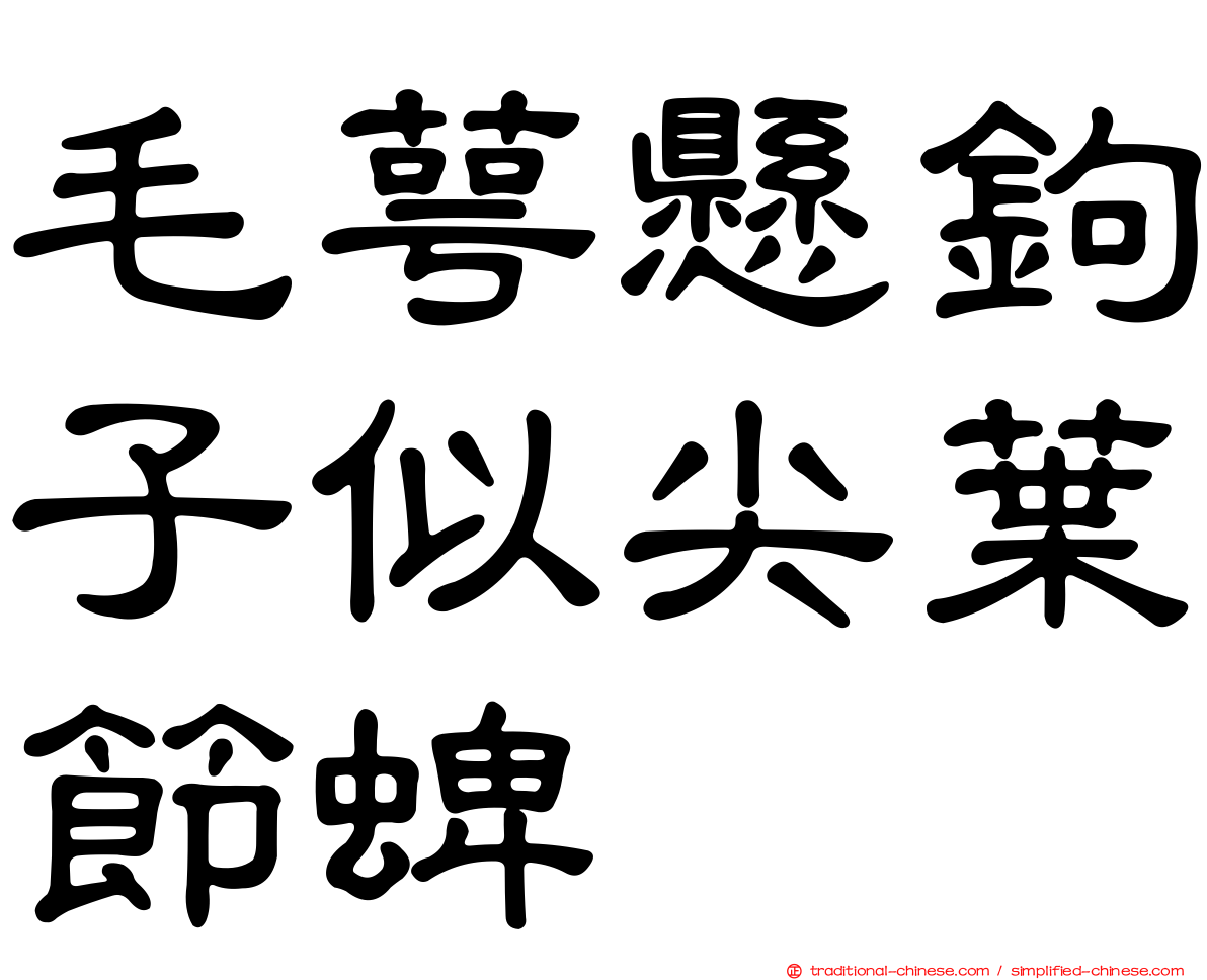毛萼懸鉤子似尖葉節蜱